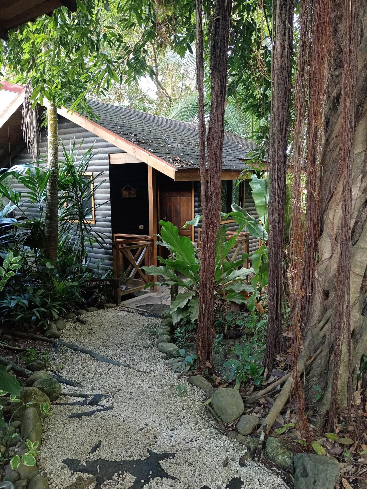 Casa el Colibrí Parrita Exterior foto